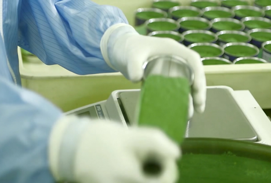 京都工場・抹茶の製造補助（製造課）